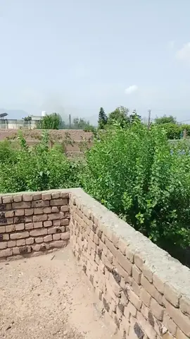 pa Tolo mokhalefo za yawaze ser kafe yama