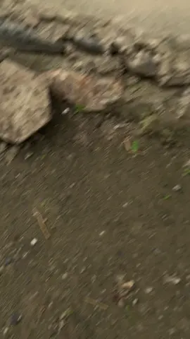 #mxkingsolostyle #mxsolostyle #mxkingsulawesitenggah #mxkingprosreat 