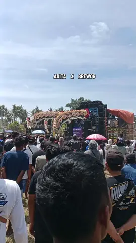Full bacotan, betel seduluran brewog x adita #betelsoundsystem  #aditaaudiojember  #brewogaudioblitar  #soundhoregjawatimur  #karnaval2025 