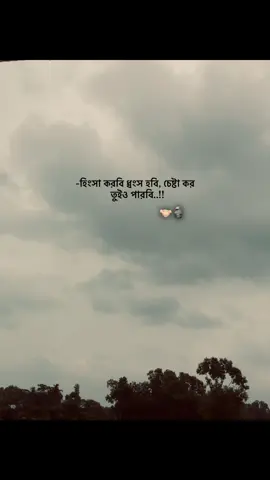 -হিংসা করবি ধ্বংস হবি, চেষ্টা কর তুইও পারবি..!!🤝🏻🗿#foryou #status #caption #viral #viralcaption 