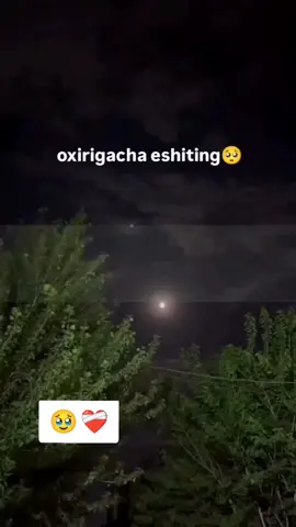 PATPSKA BOSIB KUZATIB BORING  #yoqqan_bulsa_layk_♥️  #yaqinlargaulashamiz🚀  #rekkachiqaraylik❤️😊😉😇 #dustlarga_yuboramizzzz✈️ 