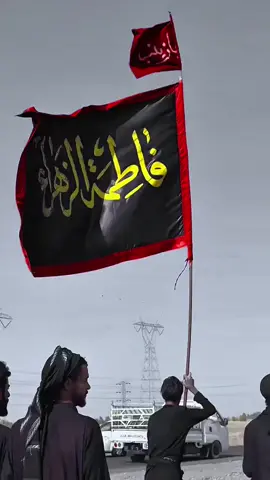 يافاطمة الزهراء...  #موكب_شهيد_الجمعة_الحسيني_الموحد #سامراء_المقدسة #قسم_الإعلام #حسين_كريم #سوق_الشيوخ 