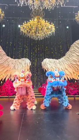 #推荐 #热门视频亿万流量第一 #热门 #经典 #artistsoftiktok #liondance #lsrvietnam #lsrvietnam🐉🐲 #舞狮 #舞狮表演 #mualanmientay #TikTokLearningCampaign #catsoftiktok 