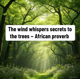 Nature speaks in whispers, songs, roots, and light. 🌿🌊🌞 From the wind that tells secrets to the trees, to rivers flowing from their source, to stars shining brightest in the night — every element reminds us that strength, beauty, and growth come from patience, foundation, and presence. 🌳✨. #AfricanProverbs #Wisdom #LifeLessons #Nature #Growth 