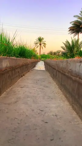 تره الميت والمفارك سويه 🥹 #المصور_غزوان_النمراوي #ستوريات #تصويري_احترافي_الاجواء👌🏻🕊😴 #fyp #تصويري 