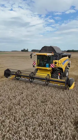 @fvanpuymbrouck 🤩🤩 #valtra #dezeure #newholland #valtras374 #valtrat #newhollandcr #tarwe #graan #moisson #ernte #dji #dikketrekker #poah #boerentrots #loonwerkismooiwerk #farmlife #trotsopdeboer #agriculture #zwaailampenaanengaan 