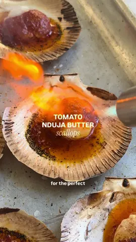 Save this if you like small plates n wine 👌🏻 tomato nduja butter scallops, cooked in the goz but I’ve included instructions on how to bake them in the oven in the recipe, which is on my website and linked in my bio! Enjoy lovelies 🤍 #fyp #EasyRecipes #scallop #smallplates