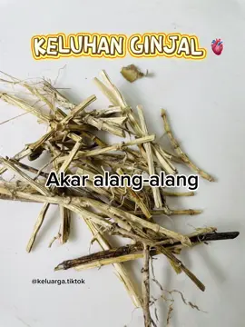 Keluahn ginjal #gagalginjal #obatgagalginjal #jsr 