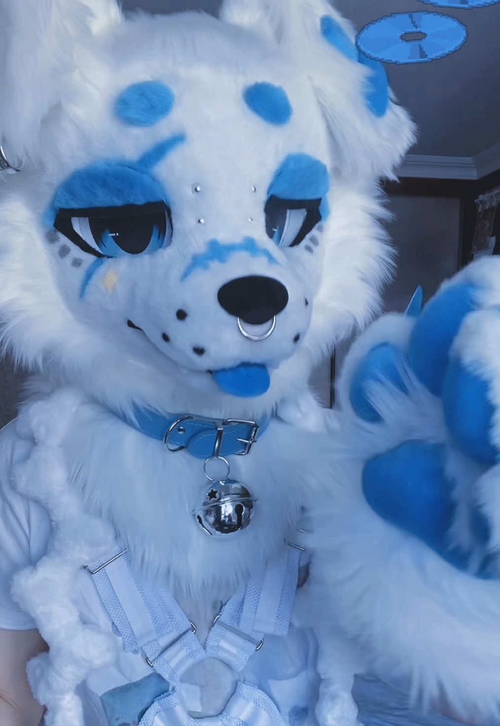 ∩^ω^∩Literally me!!! - - - - #furry #furryfyp #furryfandom #fursona #furrytiktok