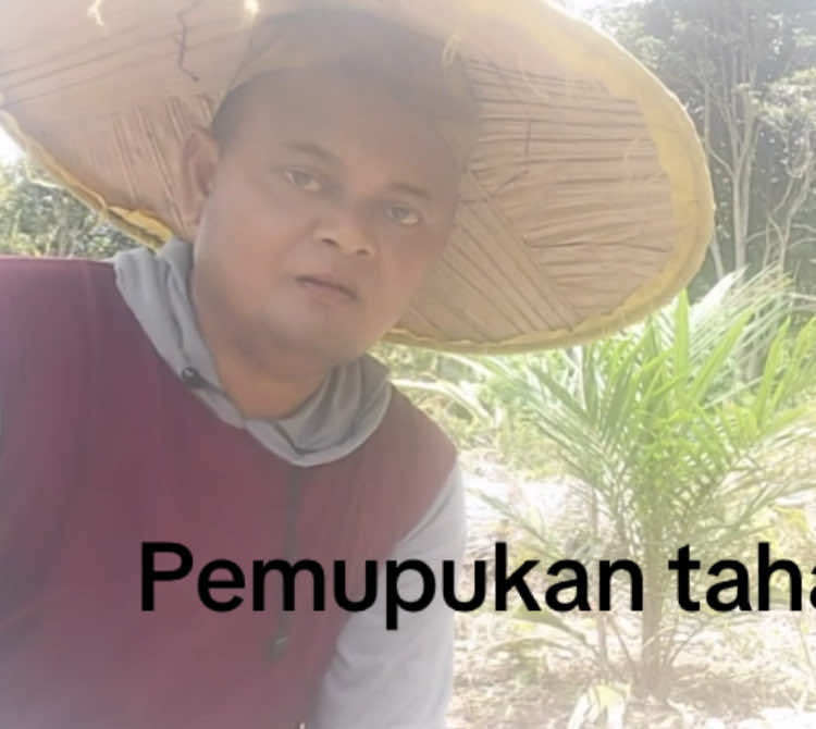 Pemupukan Tahap 2 #fypシ゚viral  #kaltara  #malinau  #sawit  #ppks 