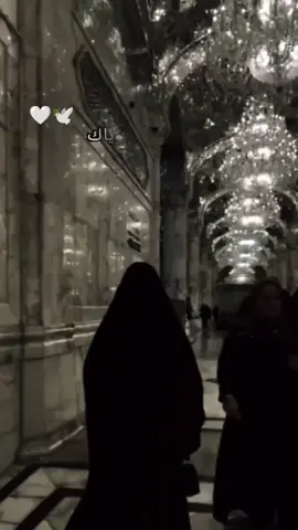 #اخذ_دمعات_عيني_وياك_وگصد_للنجف_بيهه🥺💔 #النجف_الاشرف_سيدي_ومولاي_الامام_علي (؏) السلام #كربلاء_المقدسة #العتبه_العباسيه_المقدسه_العتبه_الحسينيه_ #زيارة_عاشوراء🤍🤍🕊 