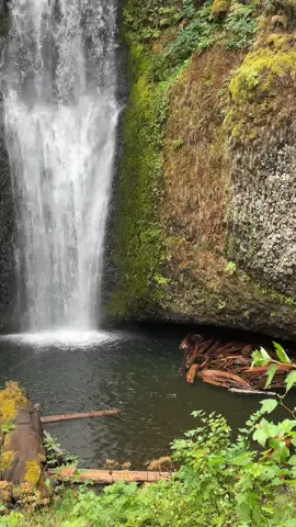 Do you even waterfall?  Highly recommend looking for them if they are nearby on your next trip.  #natureheals #waterfallsoftiktok #creatorsearchinsights #calm #wellbeing 