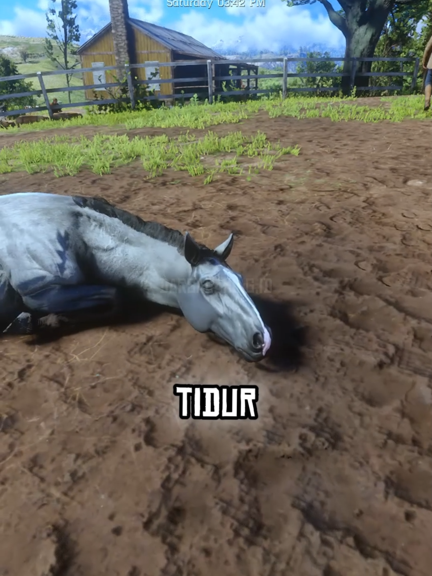 Eksperimen Memantau NPC Peternak Kuda Selama Satu Hari #rdr #rockstargames #gameplay #game #faktaunik #faktamenarik #fyp #detail #realistis #eksperimen #rdr2 #arthurmorgan #hewan #npc #kuda