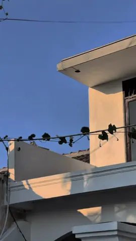 Gimana menurut kalian gais untuk motor unik ini 🤩#fyp #benelli #gleiten125 #keeway 