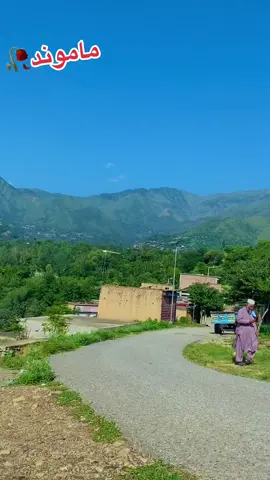 #وایرل_ویدیو___________tiktoks 