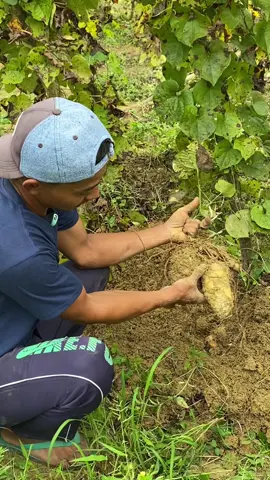 Makanan khas orang jaman dahulu, siapa nih yg suka ? Komen komen ya.#fyp #gembili #umbi #foryou #foryoupage 