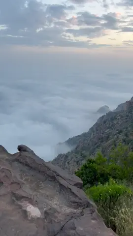 #تمنية #عسير #المملكة_العربية_السعودية #سياحة  من اطلالاة جبال تمنية الجميلة بمنطقة عسير 