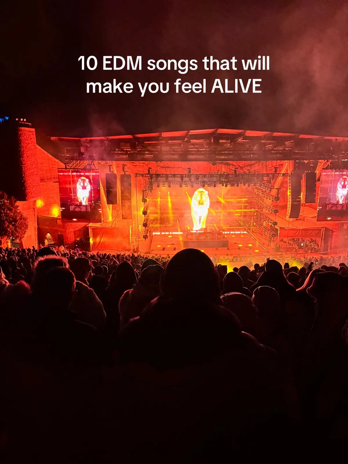 Melodic EDM has my heart #edm #songoftheday #festival #edmmusic 