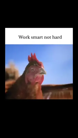 Deep Truths On Psychology & Life  #psychology #psychologyfacts #fyp #foryou #foryoupageofficiall 