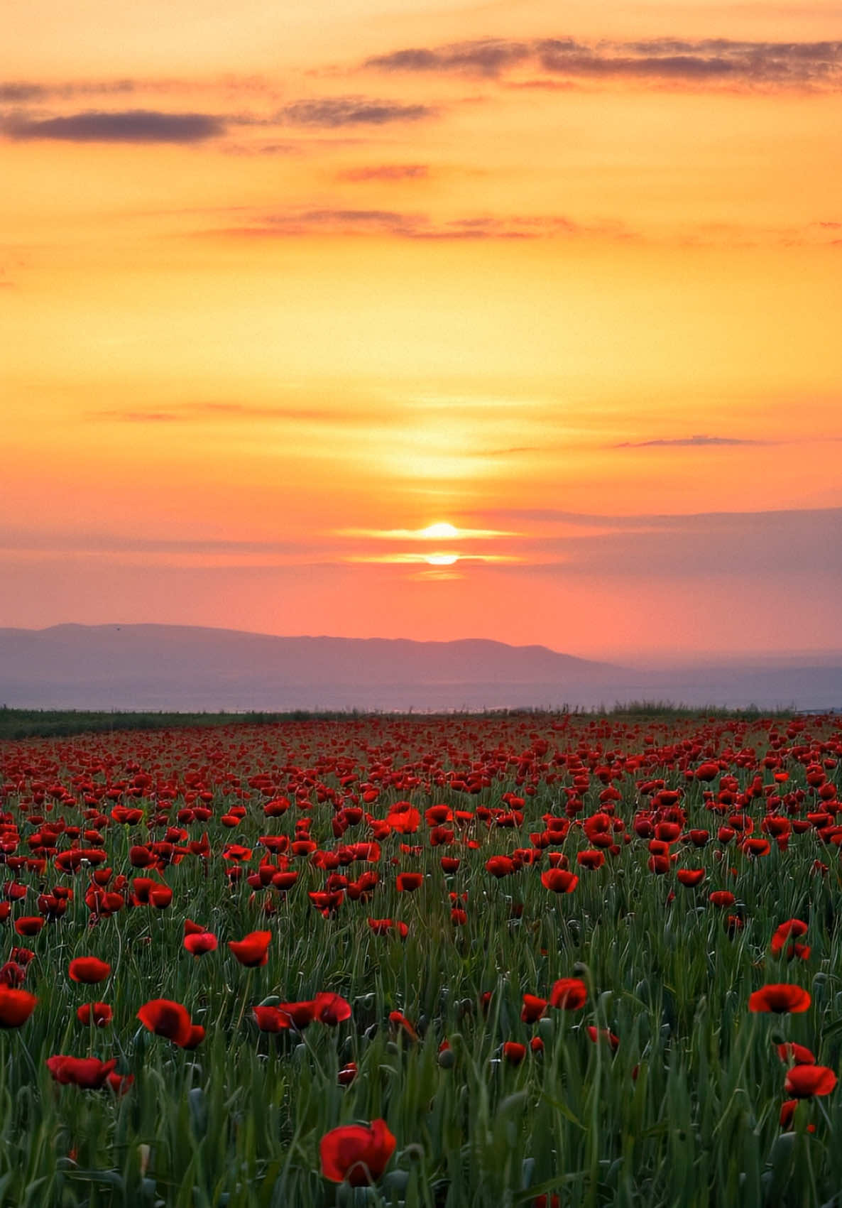 #fyp #foryou #viral #tiktoktrend2025 #keepgrowing #transformation #motivation #mindset #growthmindset 