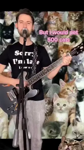 🎶 😻🎸😹 @downwithaaron #meows #ilovecatssomuch #instacatsgram #pawmanreels #miaw #catloverscatoftheday #AdorableCat #instacatsworld #catsofinstagrams #catloversofinstagram #welovecat #catloversday #catsofınstagram #catstagramm #instacatslovers #catstagrams #instacats_meows #modelcat