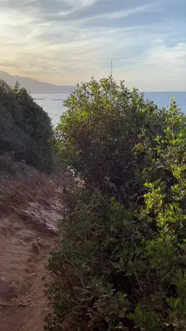 #tipaza #summervibes #fyp 