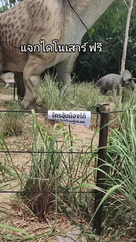 #สวนไดโนเสาร์ #ไดโนเสาร์พัทยา #ไดโนเสาร์ #จุลสิคเวิลด์ 