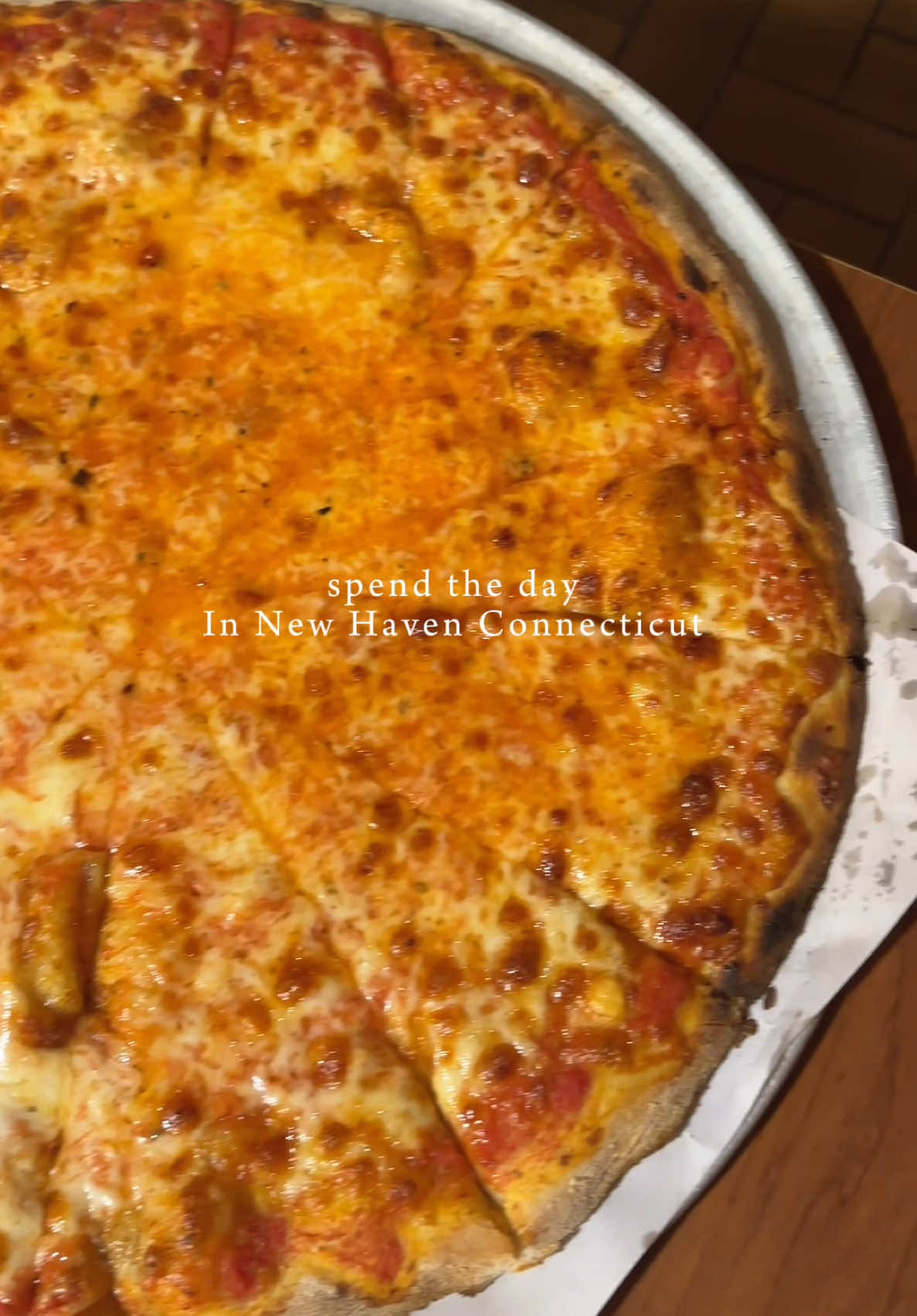 An easy day trip into New Haven 🍕 Stop at East Rock Market and grab an iced latte from Ground Up Coffee shop Head to the Peabody Museum to explore three floors of science and history, free entry for all!  Build up an appetite for some New Haven Pizza for lunch. We love hitting Modern at this time becuase it’s much easier to get in and get a table. The garlic bread, large cheese pie and small bacon are the order!  Let me know if you like the lineup!  📍 New Haven, Connecticut  . . . #connecticut #newhavenpizza #newhavenct #spendthedaywithme #ctfood 