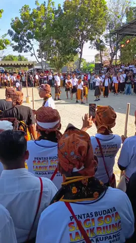 #CapCut #Ngada #nttpride🏝🔥 #sagisoa  #tinjuadat 