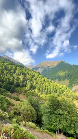 Qal sənə qurban ⛰️🎶 #keşfet #keşfetteyizzz  #Love #keşfet 