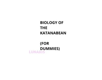 biology of katanabean (for dummies) #katanaphighting #robloxphighting #phighting 