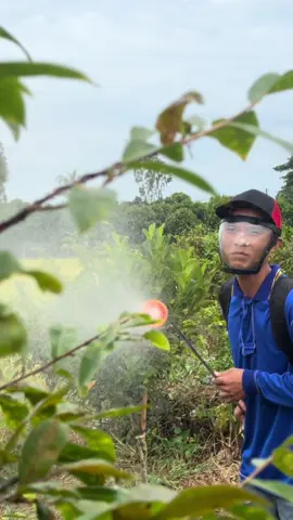 Mặt nạ bảo hộ làm vườn phun thuốc #matnabaoho #matnabaoholaodong #matnabaoho #linhnhi #xuhuongtiktok 