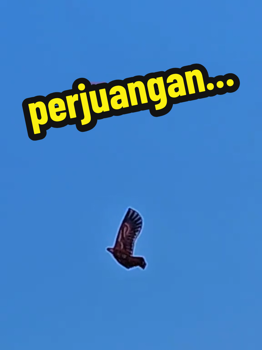 #quotes #motivation #inspiration #selfmotivation #selfreminder 