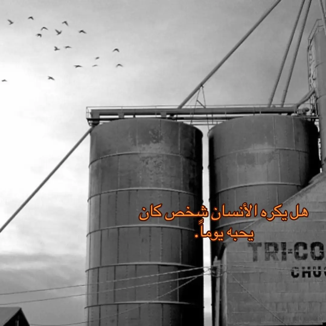 #بغداد #العراق #اكسبلورexplore #اكسبلوررر #بدون_هشتاق 
