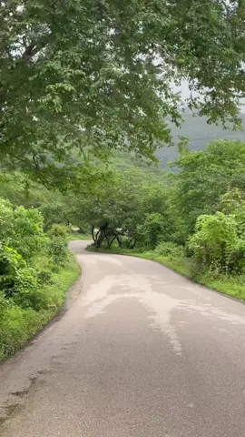 صلاله ٢٠٢٥ من عدسة الجوال 🙂    #الشعب_الصيني_ماله_حل #oman🇴🇲 #salalah #صلاله #الشعب_الصيني_ماله_حل😂😂 