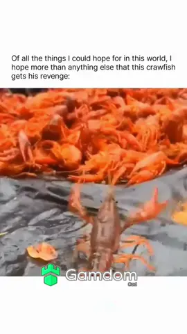 #viral #fypシ #trending #crawfish #xyzbca 