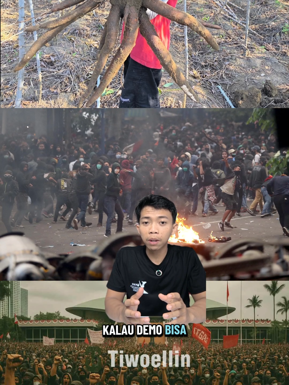 yuk diskusi di kolom komentar👉 #dprri #hargasingkong #pertaniansingkong #singkonglampung #tiwoellin 