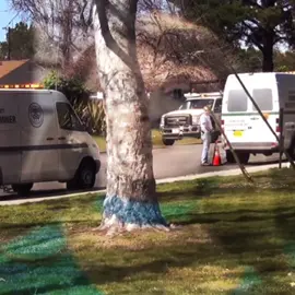 اشتقت 💔💔#dexter #fyp 