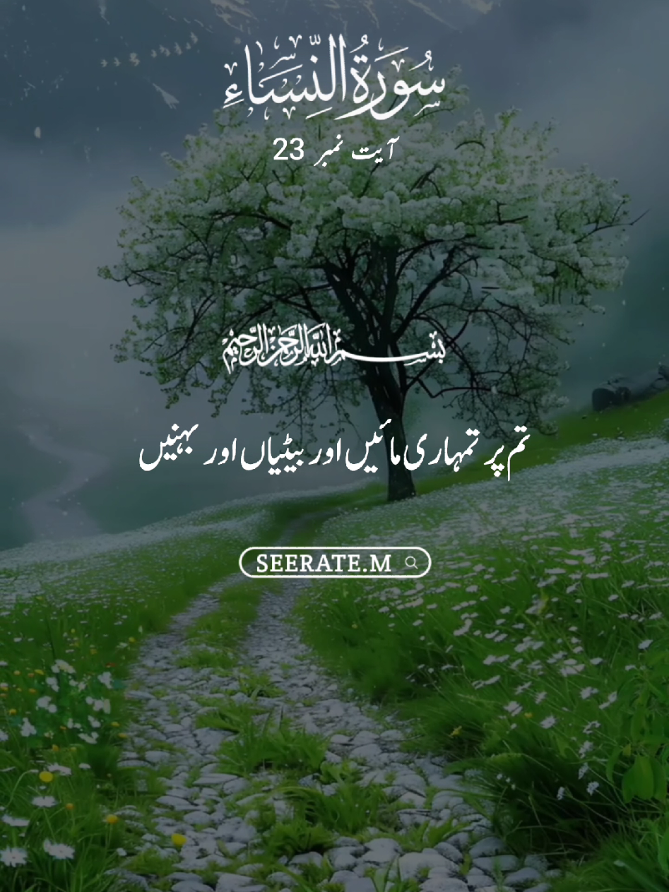 Quran kareem with translation 😍  surat un nissa ayat no 23 #quran #hadees #islam #seerate_m #viral 