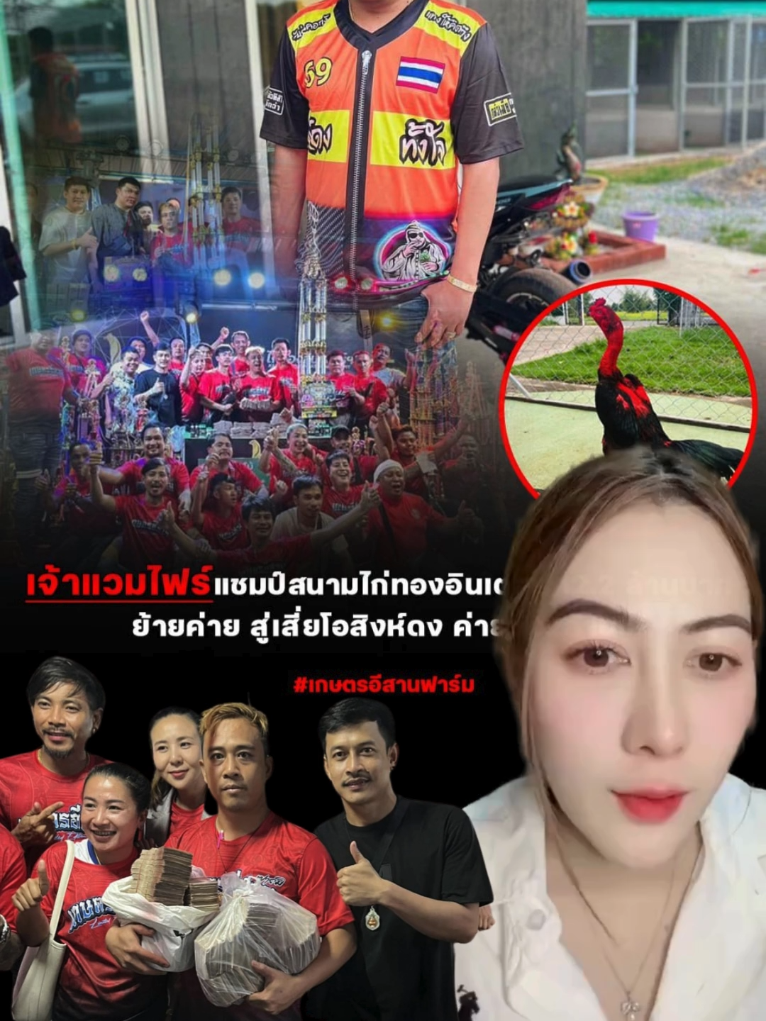 สุดยอดป่าก๋อยเจ้าแวมไพรืย้ายค่ายแล้ว #จ้าวปัณณ์ไก่ชน🐔 #เกษตรอีสานฟาร์ม #เพชรประกาย #เสี่ยโอสิงห์ดง #ไก่ชนวันนี้ #คนรักไก่ชน #อาชีพมหรรษจรรย์ #ไก่ชนเงินล้าน🐓🌴