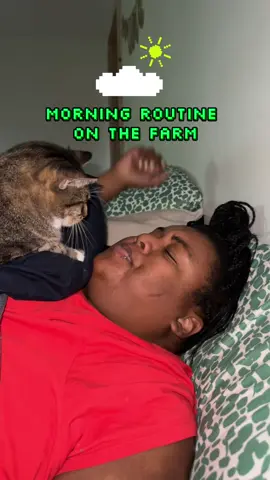 Mornings on the farm. Video game edition 