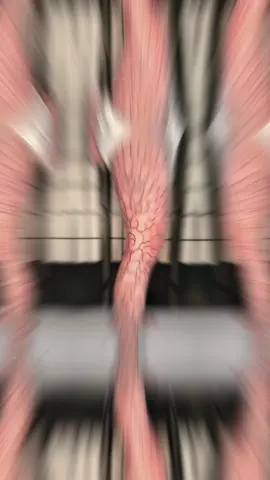 #CapCut  Full chân hoa mẫu đơn #xamhinhnghethuat #xamhinhnhatco #xamhinh #tattoo 