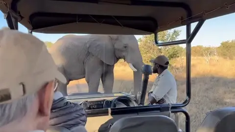 Elephants have filled our lives with wonder, joy, and remarkable moments.    This week, we’re celebrating these treasured connections.    Catch our beloved Guide Dophas beaming after this incredible encounter near Somalisa Camp!  #curioussafaris  #WorldElephantDay #OurLegacy #ElephantConservation
