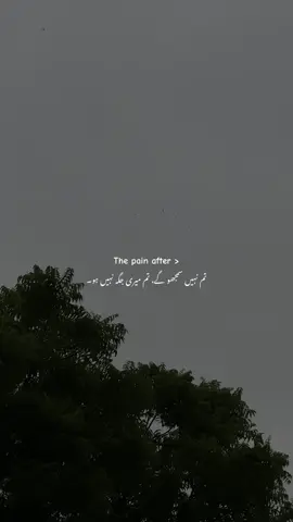 The pain after 🤌🏻#foryou #foryoupagе #urdupoetry #sadpoetry #urdushayari 