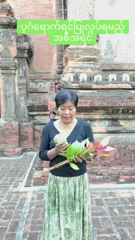 ပုဂံဘုရား#ထက်မြတ်ထူးခြားယတြာများ #fyp 