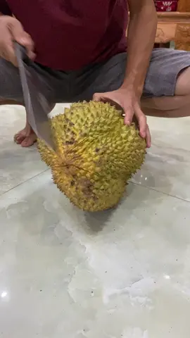 Hôm nay lại khiu quả sầu 5kg, có vẻ biết cách bổ hơn rùi . Nghiện sầu khổ đấy ạ😍