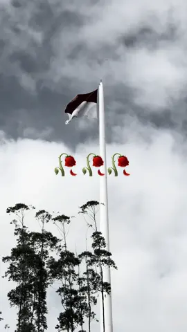 Saya adalah orang yang kurang bisa membuat kalimat yang baik (selama ini banyak dibantu Chat GPT). Di tengah situasi ini, saya hanya berani untuk merepost postingan-postingan yang ada di IG. Apalagi dengan adanya kalimat “ASN harus Netral”. Namun hari ini, saya melihat berita ada staf Humas Mas Abay (alm) yang menjadi salah satu korban, kemarin juga mas Affan (alm). Rasanya perih banget. Semoga beliau2 diberikan tempat terbaik disisi Allah SWT aamin Saya menemukan 2 komentar yg sangat mewakili apa yg ingin saya sampaikan 1. ASN itu profesi, diatas semuanya masih ada hati nurani. ingat, janji yg selalu kita ucap harus ditepati! MENGUTAMAKAN KEPENTINGAN NEGARA DAN MASYARAKAT DIATAS KEPENTINGAN PRIBADI DAN GOLONGAN ! HIDUP RAKYAT INDONESIA! 2. Birokrasi adalah rumah kita ASN. Jangan biarkan politisi 5 tahunan menghancurkan rumah kita. Kita digaji oleh uang rakyat untuk menjadi pelayan rakyat, sudah seharusnya kita berpihak pada rakyat. Terima kasih kepada semua rakyat yang turun langsung kejalan dan menyampaikan semua aspirasi rakyat. Tetap sehat, tetap semangat, dan ingat jangan mudah terprovokasi, jangan sampai ada rakyat lagi yg jadi korban karena hal tersebut. 