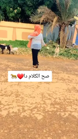 صح الكلام دا #مليون_مشاهدة❤ #متابعين #شعر #جخو،الشغل،دا،يا،عالم،➕_❤_📝 #مشهير_تيك_توك 