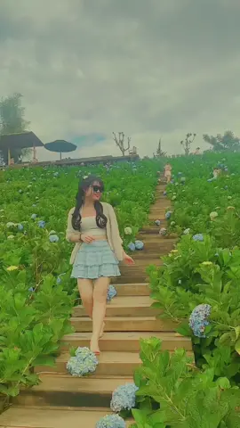 Sau tất cả, người thì vội đi tìm hạnh phúc mới. Kẻ lại loay hoay với đống ngổn ngang trong lòng. #dalat 