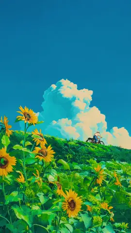 #ghibli #anime 